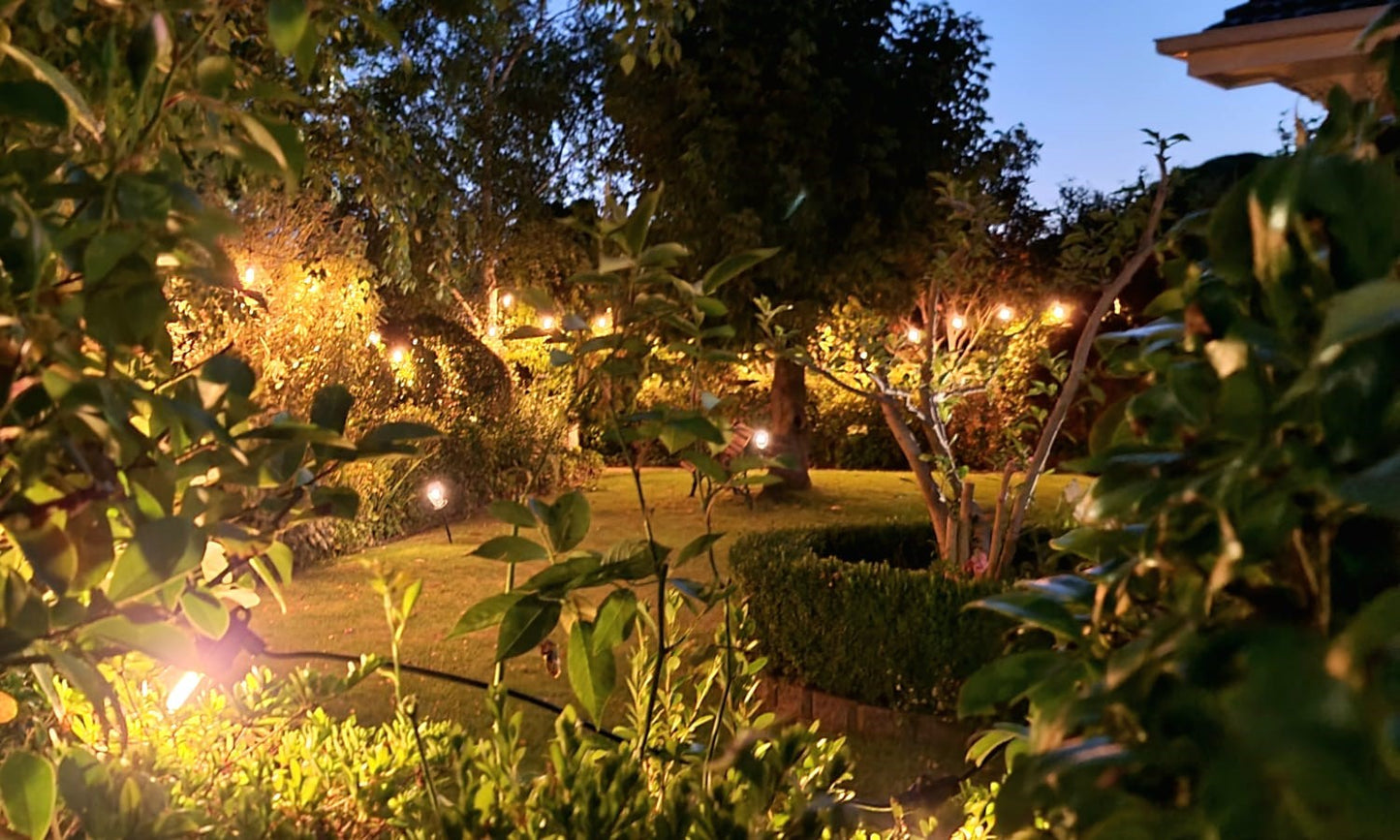 NEW LED Festoon Lights
