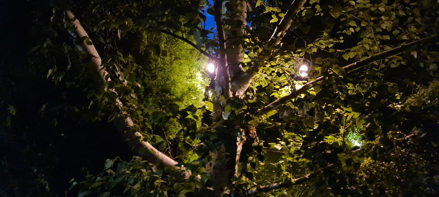 NEW LED Festoon Lights