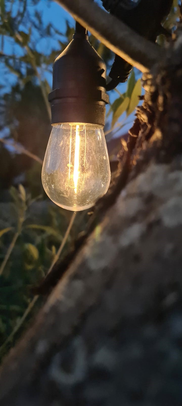 NEW LED Festoon Lights