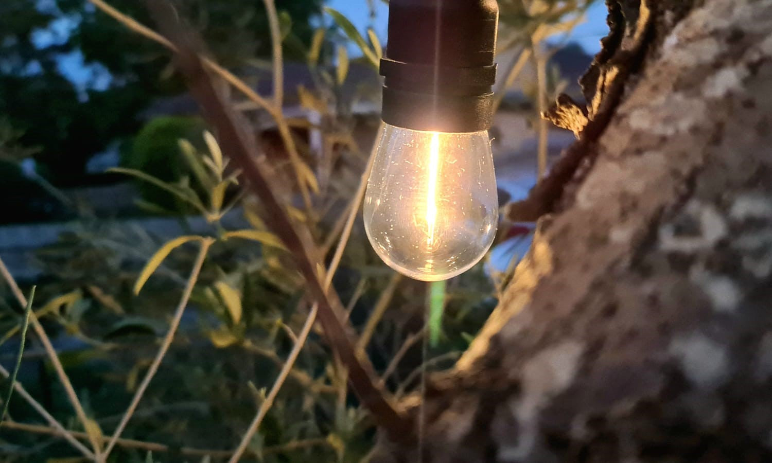 NEW LED Festoon Lights